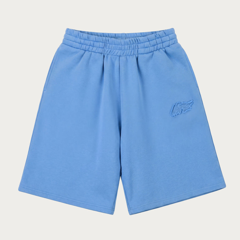SKY BLUE BASIC SHORTS